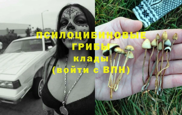 2c-b Алексин